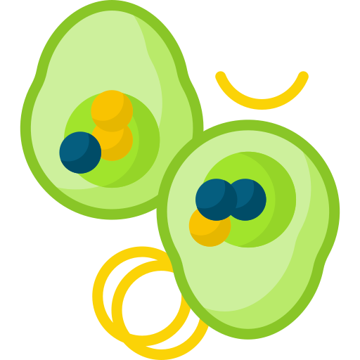 Stuffed avocado Special Flat icon