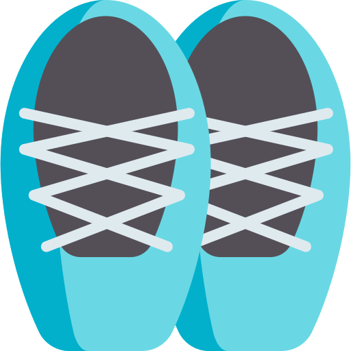 scarpe da ballo Special Flat icona