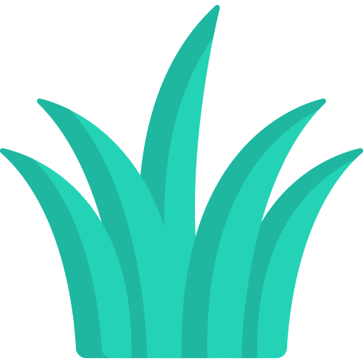 gras Special Flat icon