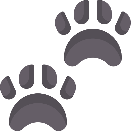 Paw print Special Flat icon