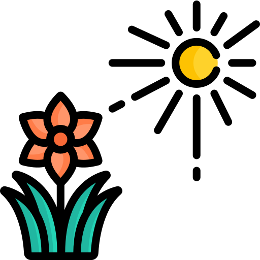 Fotosíntesis Special Lineal color icono
