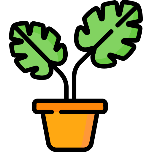 Monstera Special Lineal color icon