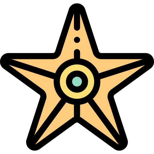 Starfish Detailed Rounded Lineal color icon