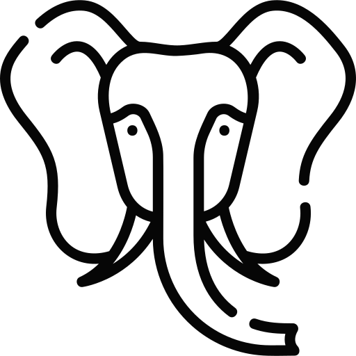 l'éléphant Special Lineal Icône