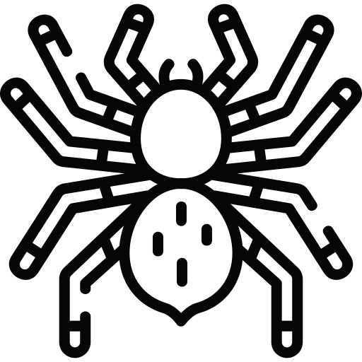 tarantula Special Lineal ikona