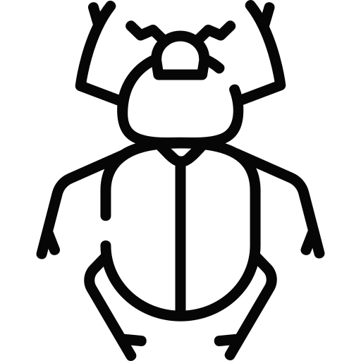 scarabée Special Lineal Icône