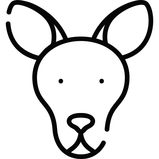 kangur Special Lineal ikona