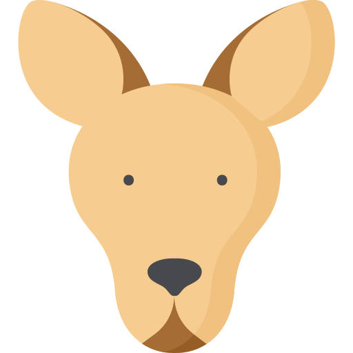 Kangaroo Special Flat icon