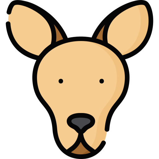 känguru Special Lineal color icon