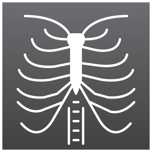 promieniowanie rentgenowskie Amethys Design Flat ikona