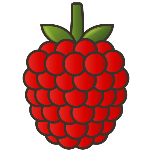 Raspberry Amethys Design Lineal Color icon