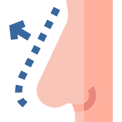 Nariz Basic Straight Flat icono