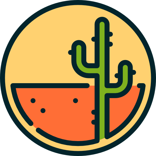 Desert Special Lineal color icon