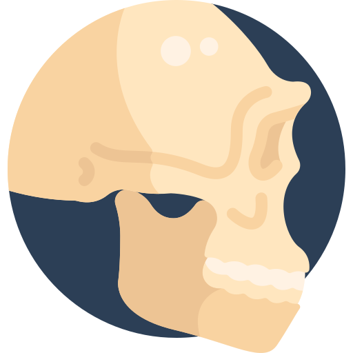 Cráneo Detailed Flat Circular Flat icono