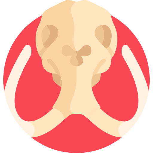 mammoet Detailed Flat Circular Flat icoon