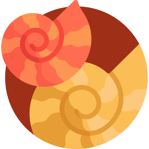 Nautilo Detailed Flat Circular Flat icono
