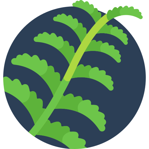 Planta Detailed Flat Circular Flat icono