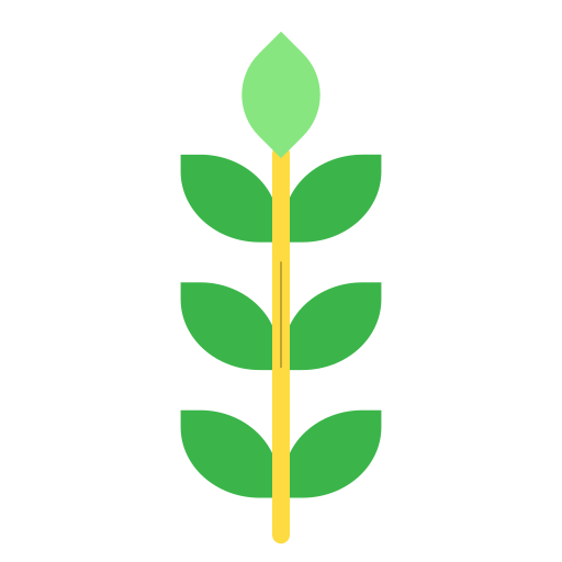 Wheat Kiranshastry Flat icon