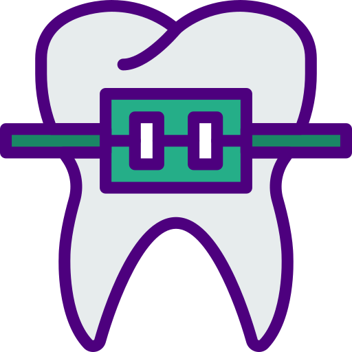 Braces prettycons Lineal Color icon