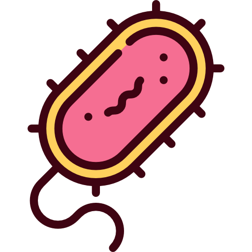 bactérias Special Lineal color Ícone