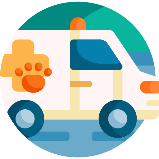 krankenwagen Detailed Flat Circular Flat icon