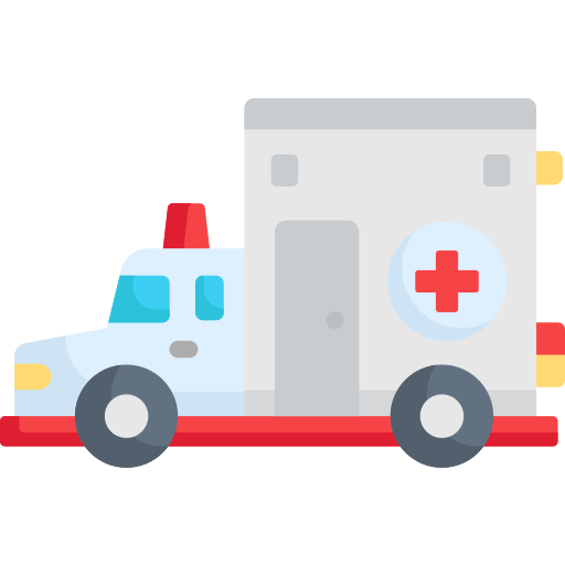 Ambulance Special Flat icon