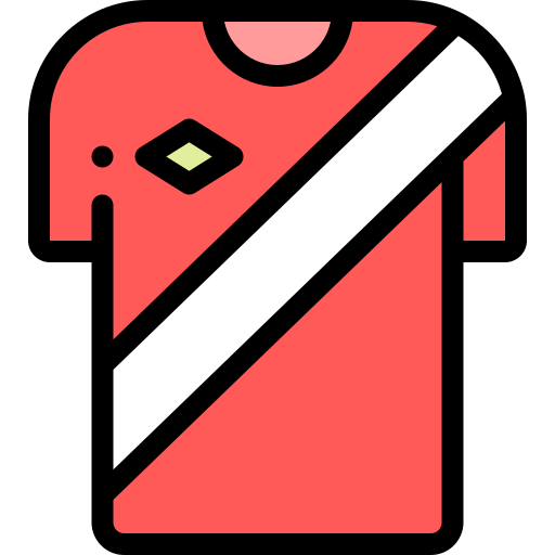 Jersey Detailed Rounded Lineal color icon