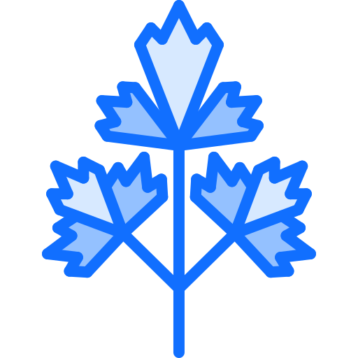 파슬리 Coloring Blue icon