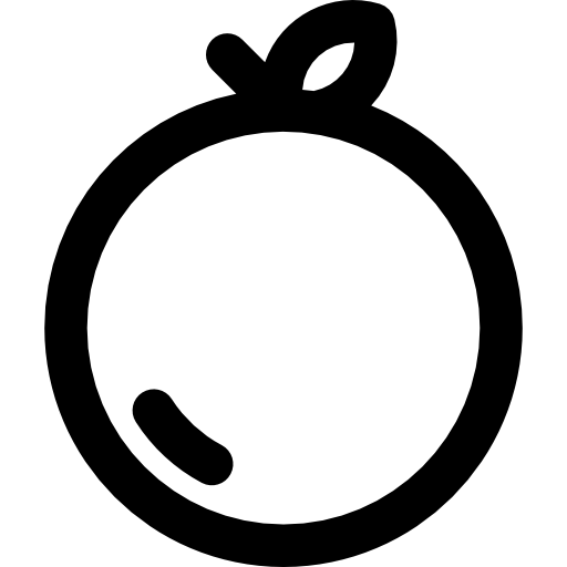 arancia Basic Rounded Lineal icona