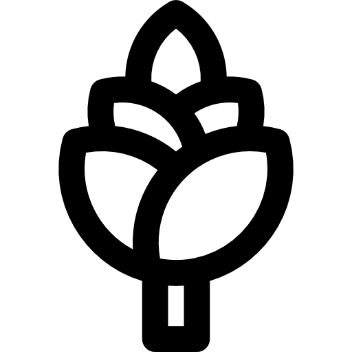 Artichoke Basic Rounded Lineal icon