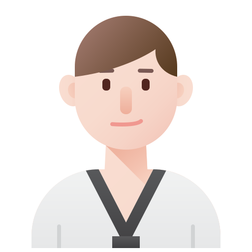 taekwondo Amethys Design Flat ikona