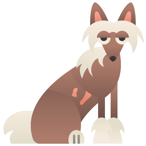 chinese crested Amethys Design Flat icon
