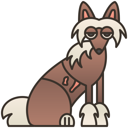 Chinese crested Amethys Design Lineal Color icon