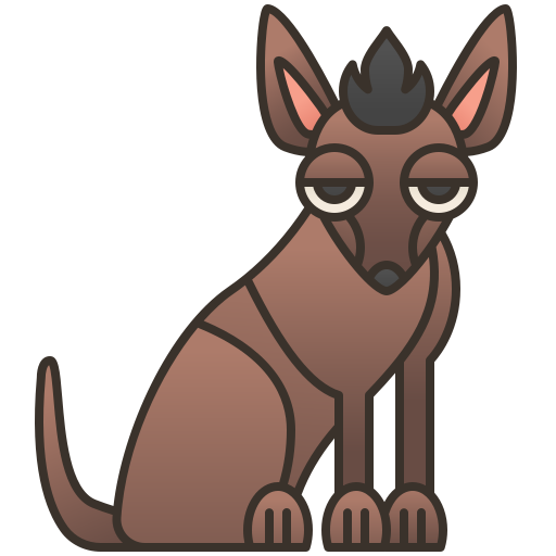 Mexican hairless dog Amethys Design Lineal Color icon