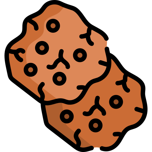 쿠키 Special Lineal color icon