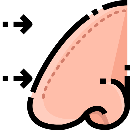Rhinoplasty Justicon Lineal Color icon