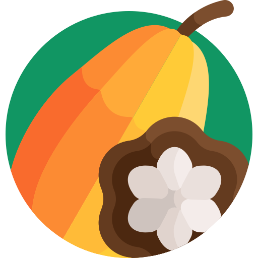 Cacao Detailed Flat Circular Flat icon