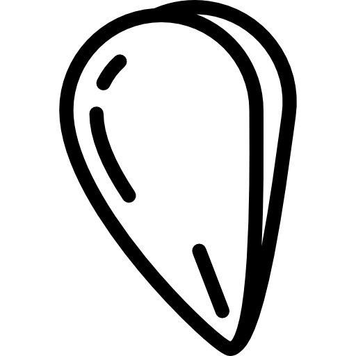 Mussel Detailed Rounded Lineal icon