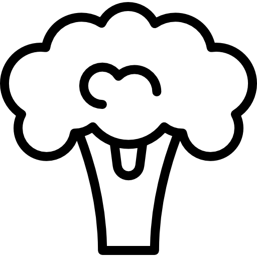 Broccoli Special Lineal icon