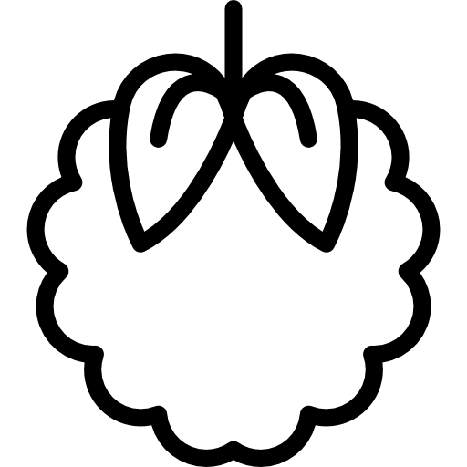 Raspberry Special Lineal icon
