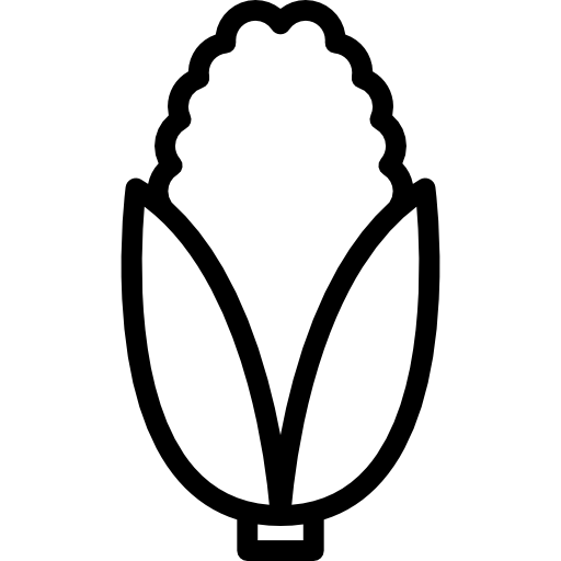 Corn Special Lineal icon