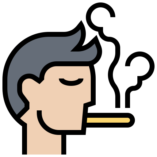 Smoking area Meticulous Lineal Color icon