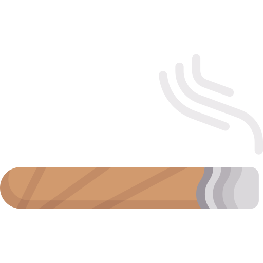 Cigar Special Flat icon