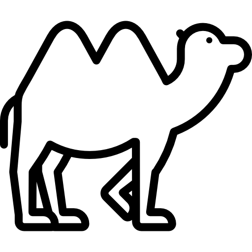 wielbłąd Special Lineal ikona