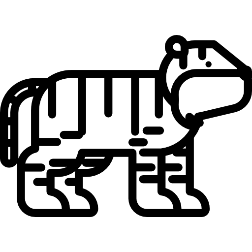 tigre Special Lineal icono