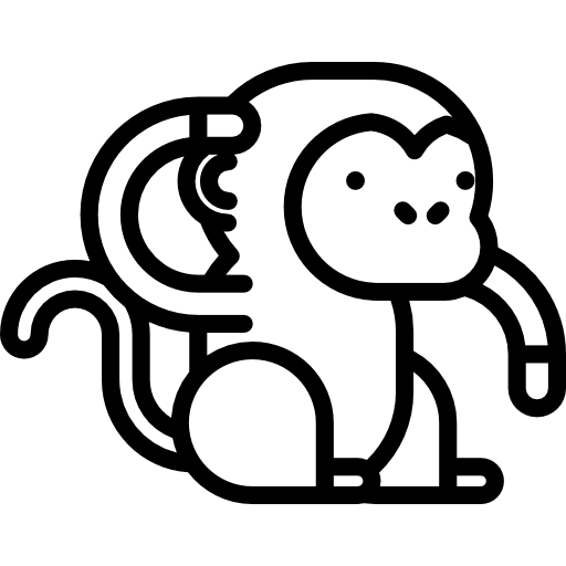 Monkey Special Lineal icon