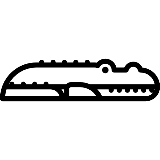 Crocodile Special Lineal icon