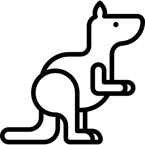 canguru Special Lineal Ícone