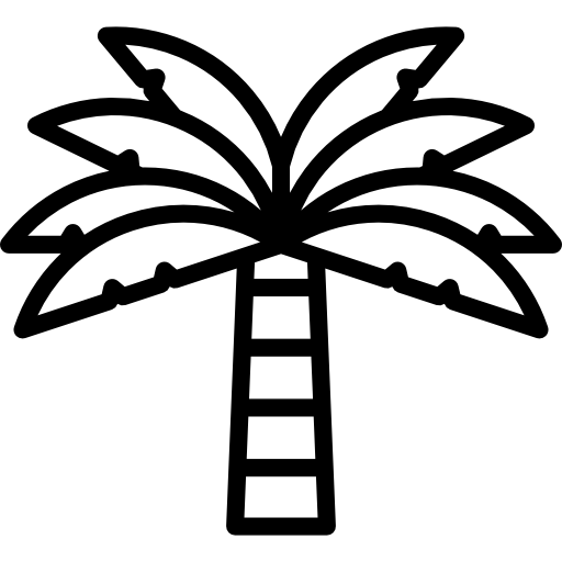 palmeira Special Lineal Ícone