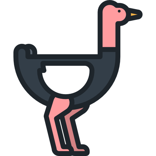 struisvogel Special Lineal color icoon